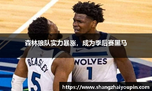 森林狼队实力暴涨，成为季后赛黑马